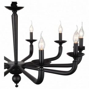 Подвесная люстра ST-Luce SL1114 SL1114.403.10 в Нижнем Тагиле - nizhniy-tagil.mebel24.online | фото 4