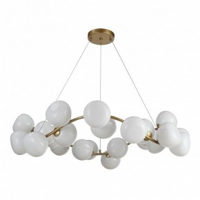 Подвесная люстра ST-Luce Sweven SL1519.303.24 в Нижнем Тагиле - nizhniy-tagil.mebel24.online | фото 2