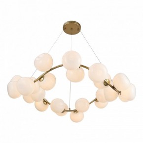 Подвесная люстра ST-Luce Sweven SL1519.303.24 в Нижнем Тагиле - nizhniy-tagil.mebel24.online | фото 6