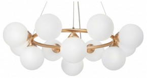 Подвесная люстра Vitaluce V48410 V48410-8/12S в Нижнем Тагиле - nizhniy-tagil.mebel24.online | фото