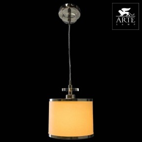 Подвесной светильник Arte Lamp Furore A3990SP-1CC в Нижнем Тагиле - nizhniy-tagil.mebel24.online | фото 3