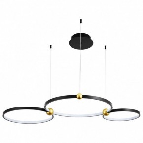 Подвесной светильник Divinare Amadeo 1123/04 SP-75 в Нижнем Тагиле - nizhniy-tagil.mebel24.online | фото