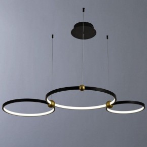 Подвесной светильник Divinare Amadeo 1123/04 SP-75 в Нижнем Тагиле - nizhniy-tagil.mebel24.online | фото 2