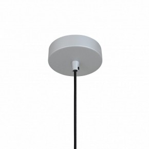 Подвесной светильник Favourite Otium 2270-1P в Нижнем Тагиле - nizhniy-tagil.mebel24.online | фото 4