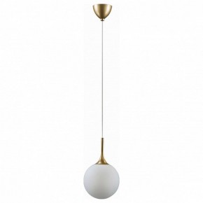 Подвесной светильник Lightstar Globo 813022 в Нижнем Тагиле - nizhniy-tagil.mebel24.online | фото 2