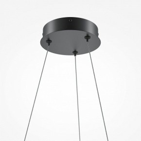 Подвесной светильник Maytoni Curve MOD241PL-L60BK в Нижнем Тагиле - nizhniy-tagil.mebel24.online | фото 6