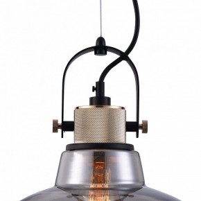 Подвесной светильник Maytoni Irving T163PL-01C в Нижнем Тагиле - nizhniy-tagil.mebel24.online | фото 9