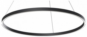 Подвесной светильник Maytoni Rim MOD058PL-L54BK в Нижнем Тагиле - nizhniy-tagil.mebel24.online | фото