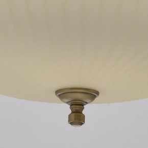Подвесной светильник MW-Light Афродита 1 317010504 в Нижнем Тагиле - nizhniy-tagil.mebel24.online | фото 9