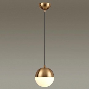 Подвесной светильник Odeon Light Pinga 4960/1 в Нижнем Тагиле - nizhniy-tagil.mebel24.online | фото 2