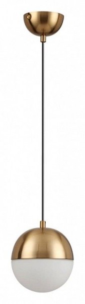Подвесной светильник Odeon Light Pinga 4960/1 в Нижнем Тагиле - nizhniy-tagil.mebel24.online | фото 3