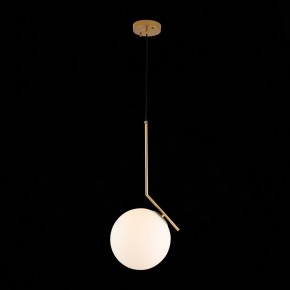 Подвесной светильник ST-Luce Codda SL1148.303.01 в Нижнем Тагиле - nizhniy-tagil.mebel24.online | фото 5
