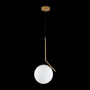Подвесной светильник ST-Luce Codda SL1148.303.01 в Нижнем Тагиле - nizhniy-tagil.mebel24.online | фото 6