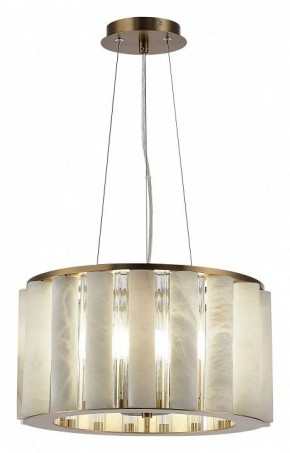 Подвесной светильник ST-Luce Delight SL1516.303.06 в Нижнем Тагиле - nizhniy-tagil.mebel24.online | фото 3