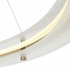 Подвесной светильник ST-Luce FAGY SL6245.213.01 в Нижнем Тагиле - nizhniy-tagil.mebel24.online | фото 6