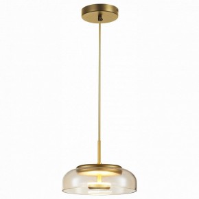 Подвесной светильник ST-Luce Lacio SL6002.203.01 в Нижнем Тагиле - nizhniy-tagil.mebel24.online | фото