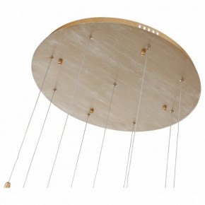 Подвесной светильник ST-Luce SL1116 SL1116.203.09 в Нижнем Тагиле - nizhniy-tagil.mebel24.online | фото 4
