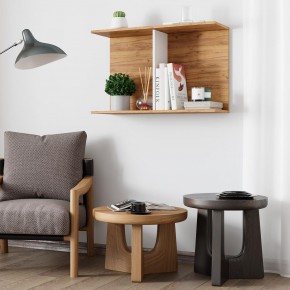 Полка Ион-3 (крафт/белый) в Нижнем Тагиле - nizhniy-tagil.mebel24.online | фото 3