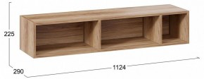 Полка навесная ТД-102.28 в Нижнем Тагиле - nizhniy-tagil.mebel24.online | фото 9