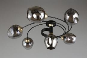 Потолочная люстра Aployt Flor APL.611.17.06 в Нижнем Тагиле - nizhniy-tagil.mebel24.online | фото 1