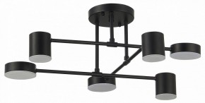 Потолочная люстра EVOLUCE Nobel SLE201042-06 в Нижнем Тагиле - nizhniy-tagil.mebel24.online | фото 11