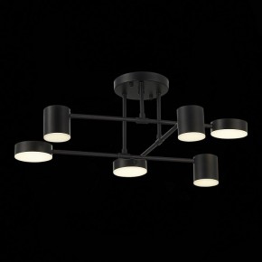 Потолочная люстра EVOLUCE Nobel SLE201042-06 в Нижнем Тагиле - nizhniy-tagil.mebel24.online | фото 13