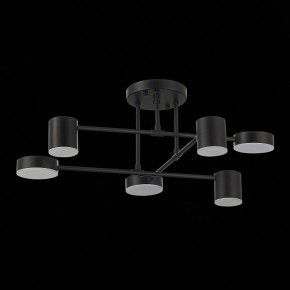 Потолочная люстра EVOLUCE Nobel SLE201042-06 в Нижнем Тагиле - nizhniy-tagil.mebel24.online | фото 14