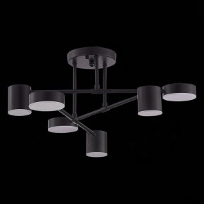Потолочная люстра EVOLUCE Nobel SLE201042-06 в Нижнем Тагиле - nizhniy-tagil.mebel24.online | фото 2