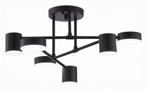 Потолочная люстра EVOLUCE Nobel SLE201042-06 в Нижнем Тагиле - nizhniy-tagil.mebel24.online | фото 5