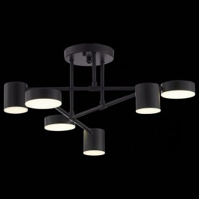 Потолочная люстра EVOLUCE Nobel SLE201042-06 в Нижнем Тагиле - nizhniy-tagil.mebel24.online | фото 6