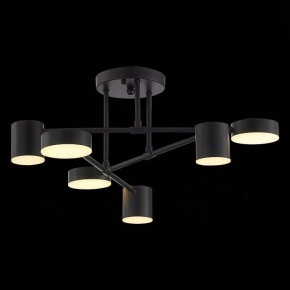Потолочная люстра EVOLUCE Nobel SLE201042-06 в Нижнем Тагиле - nizhniy-tagil.mebel24.online | фото 7