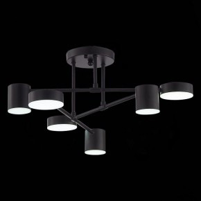 Потолочная люстра EVOLUCE Nobel SLE201042-06 в Нижнем Тагиле - nizhniy-tagil.mebel24.online | фото 9