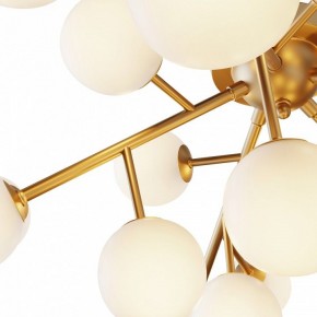 Потолочная люстра Maytoni Dallas MOD545CL-20BS в Нижнем Тагиле - nizhniy-tagil.mebel24.online | фото 2