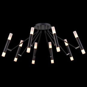 Потолочная люстра Maytoni Vigo MOD620CL-16B в Нижнем Тагиле - nizhniy-tagil.mebel24.online | фото 4