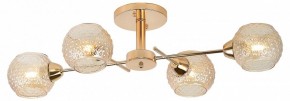 Потолочная люстра Rivoli Amalia Б0050815 в Нижнем Тагиле - nizhniy-tagil.mebel24.online | фото 2