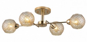 Потолочная люстра Rivoli Amalia Б0050815 в Нижнем Тагиле - nizhniy-tagil.mebel24.online | фото 3