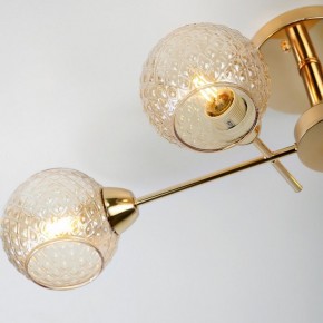Потолочная люстра Rivoli Amalia Б0050815 в Нижнем Тагиле - nizhniy-tagil.mebel24.online | фото 8