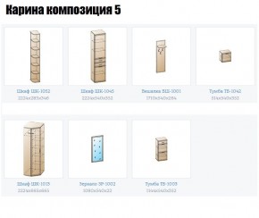 Прихожая Карина (модульная) в Нижнем Тагиле - nizhniy-tagil.mebel24.online | фото 2