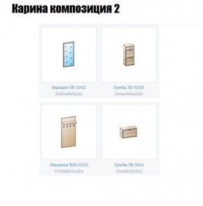 Прихожая Карина (модульная) в Нижнем Тагиле - nizhniy-tagil.mebel24.online | фото 6