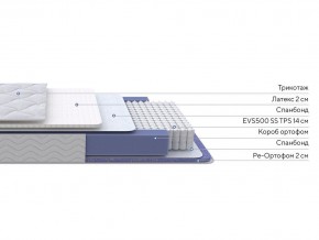 PROxSON Матрас Active Duo S/F (Ткань Трикотаж Эко) 180x190 в Нижнем Тагиле - nizhniy-tagil.mebel24.online | фото 2