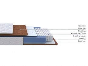 PROxSON Матрас Active F Roll (Ткань Трикотаж Эко) 90x195 в Нижнем Тагиле - nizhniy-tagil.mebel24.online | фото 2