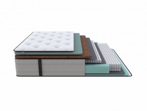 PROxSON Матрас Elysium Firm (Трикотаж Spiral-RT) 160x190 в Нижнем Тагиле - nizhniy-tagil.mebel24.online | фото 1