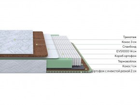 PROxSON Матрас Green Duo M/F (Tricotage Dream) 140x195 в Нижнем Тагиле - nizhniy-tagil.mebel24.online | фото 2