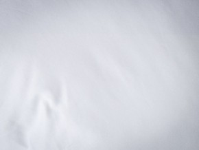 PROxSON Подушка Terra Duo (Сатин Ткань) 50x70 в Нижнем Тагиле - nizhniy-tagil.mebel24.online | фото 9