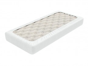 PROxSON Защитный чехол Aqua Save Light S (Ткань влагостойкая Tencel Jersey) 120x200 в Нижнем Тагиле - nizhniy-tagil.mebel24.online | фото 2