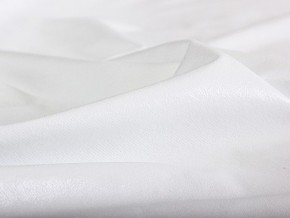 PROxSON Защитный чехол Aqua Save Light Top (Ткань влагостойкая Tencel Jersey) 140x200 в Нижнем Тагиле - nizhniy-tagil.mebel24.online | фото 4