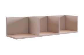 РИЧ Полка навесная 2 (кашемир) в Нижнем Тагиле - nizhniy-tagil.mebel24.online | фото 1