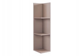 РИЧ Полка навесная 2 (кашемир) в Нижнем Тагиле - nizhniy-tagil.mebel24.online | фото 4