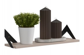 РИЧ Полка навесная в Нижнем Тагиле - nizhniy-tagil.mebel24.online | фото 3