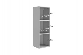 РИЧ Шкаф навесной в Нижнем Тагиле - nizhniy-tagil.mebel24.online | фото 3